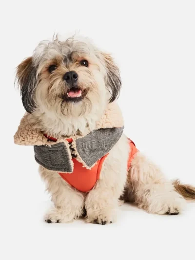 Sherpa Fleece Dog Coat—Orange