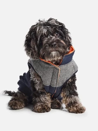 Waterproof Ripstop Dog Coat—Blue